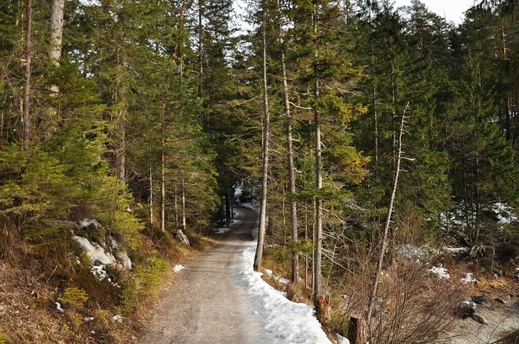 Walking path around lake Eibsee