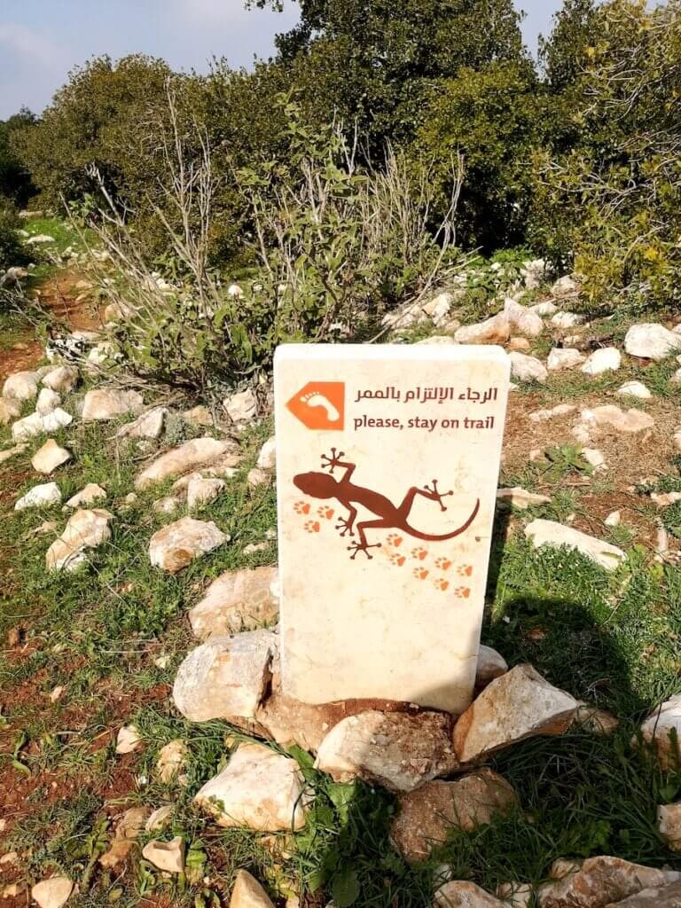 Hiking in Ajloun Forest Reserve