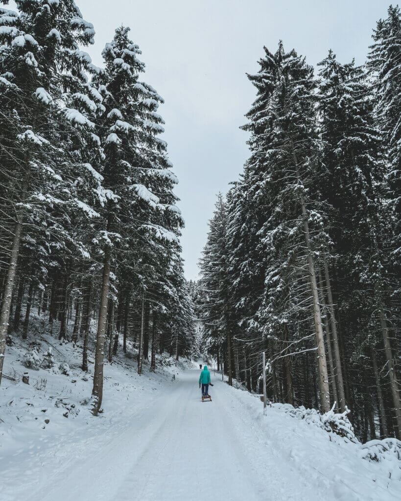 Sledding on Germany's Longest Toboggan Run