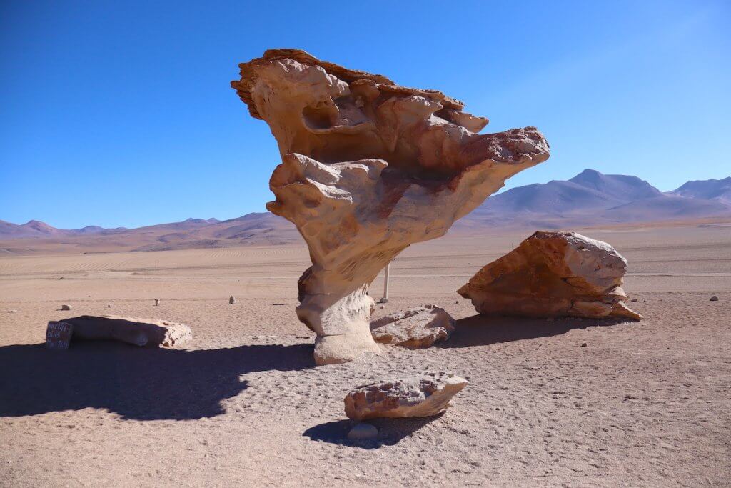 Arbol de Piedra