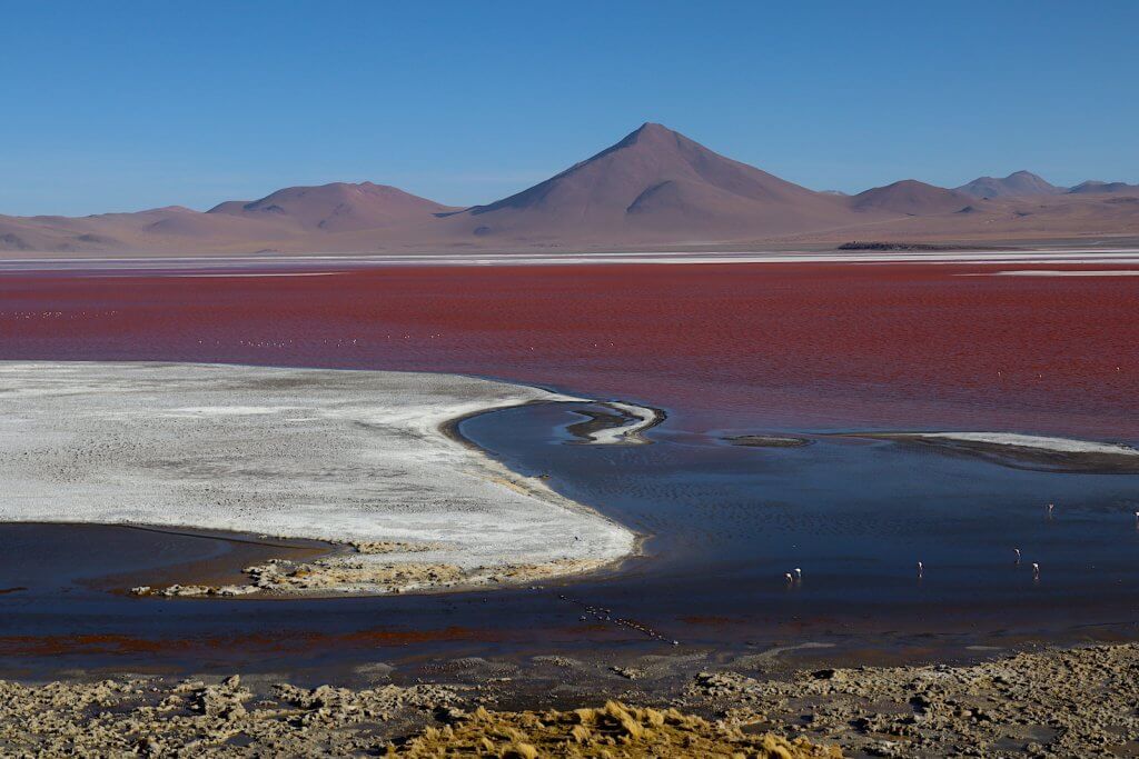 Laguna Colorada Bolivia