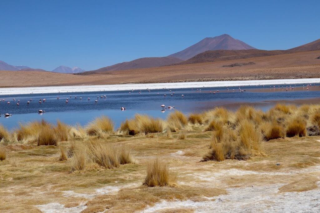 Laguna Cañapa Bolivia