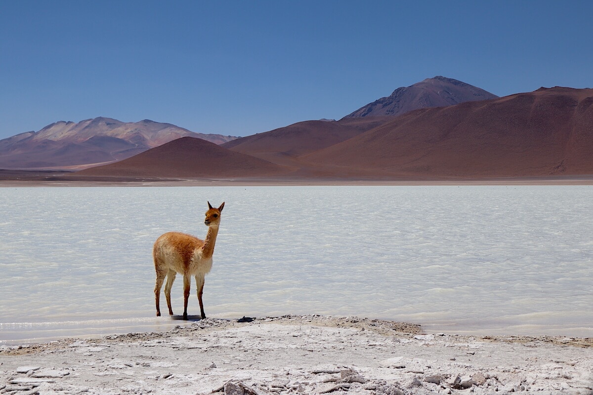 South America Landscape