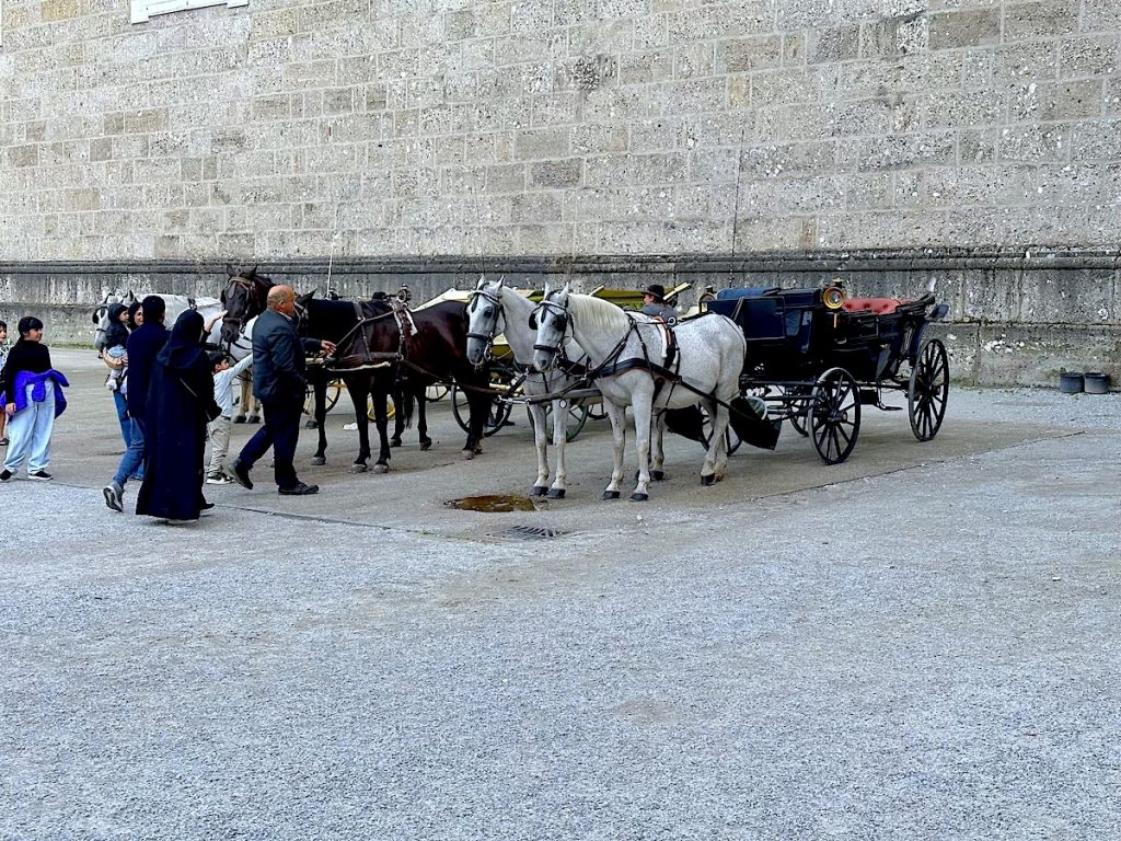 Horse Carriage in Salzburg