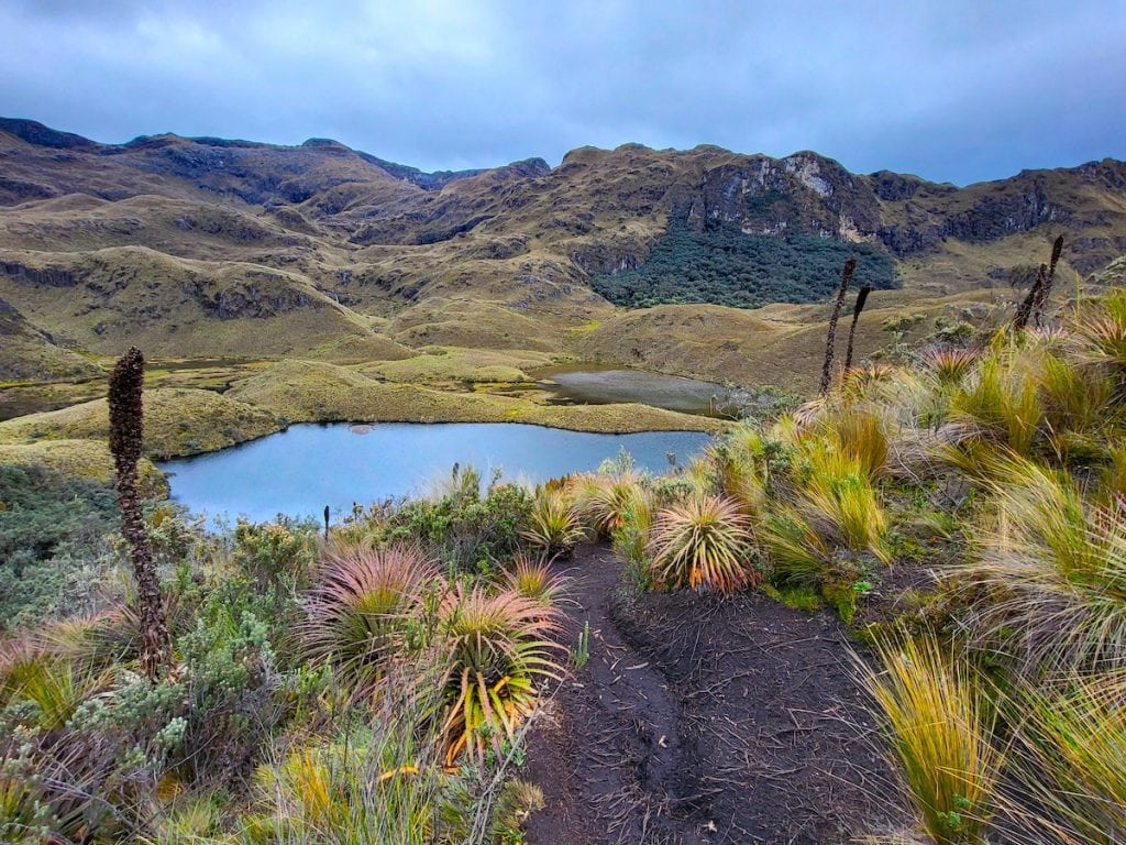 Route 1 Cajas National Park