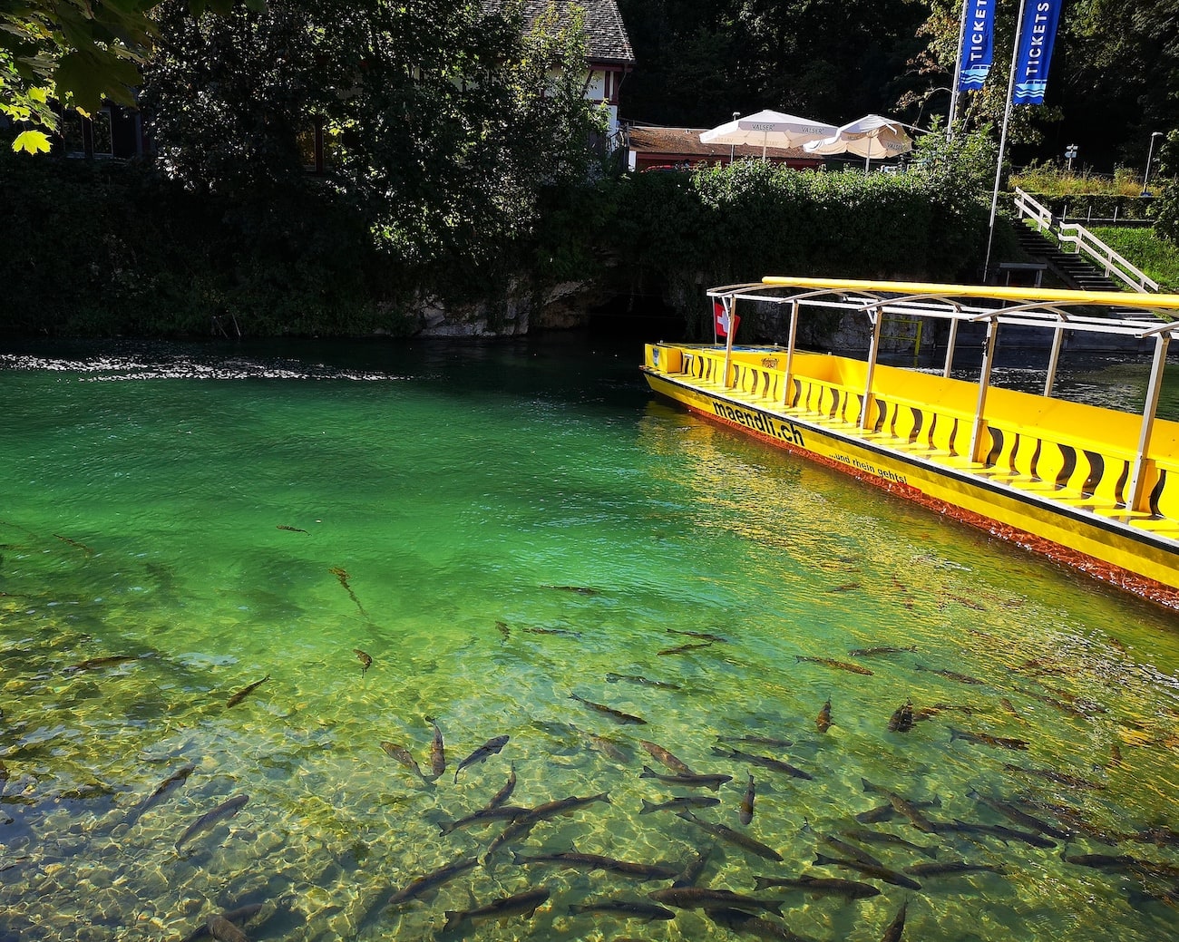 Rhine Falls Boat Trip