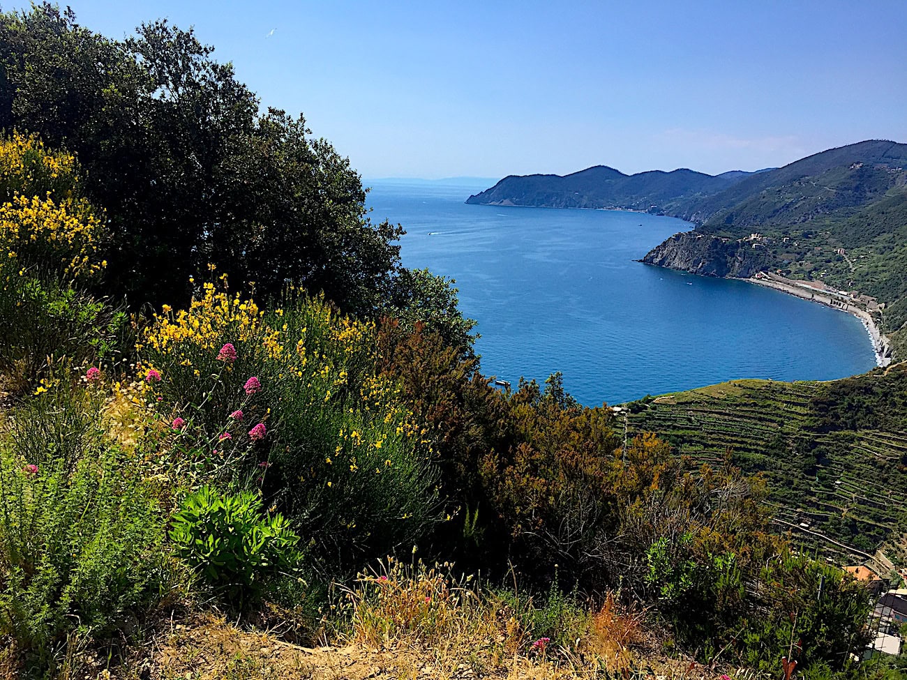 Panoramic Views during hiking in Cinque Terre